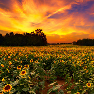 Trending In My Town New