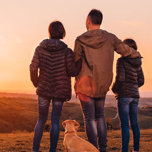 Discounts Cheap Free New
